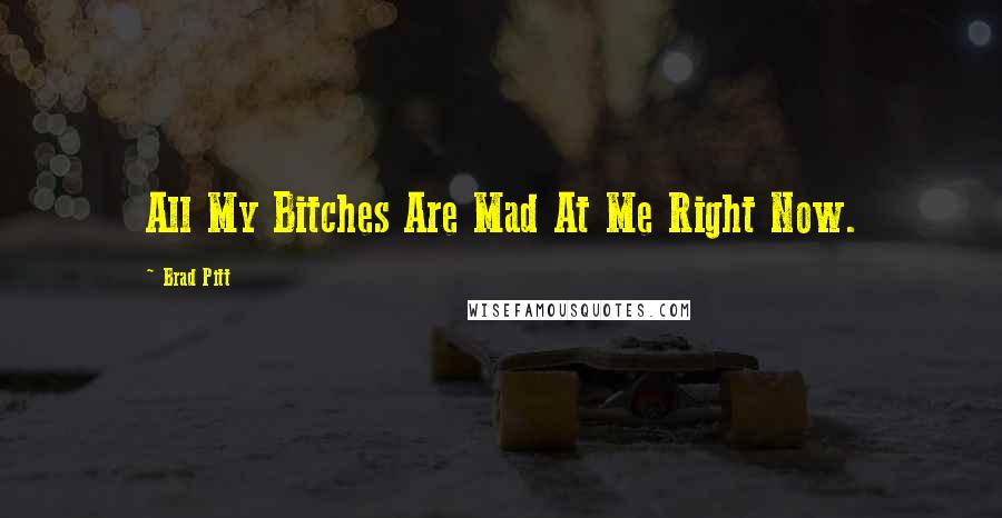 Brad Pitt Quotes: All My Bitches Are Mad At Me Right Now.