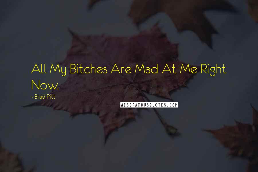 Brad Pitt Quotes: All My Bitches Are Mad At Me Right Now.