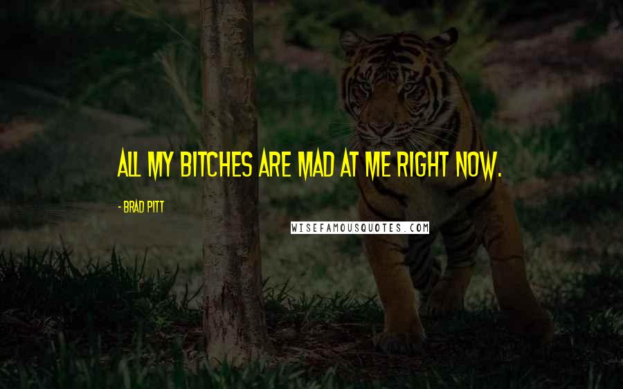 Brad Pitt Quotes: All My Bitches Are Mad At Me Right Now.