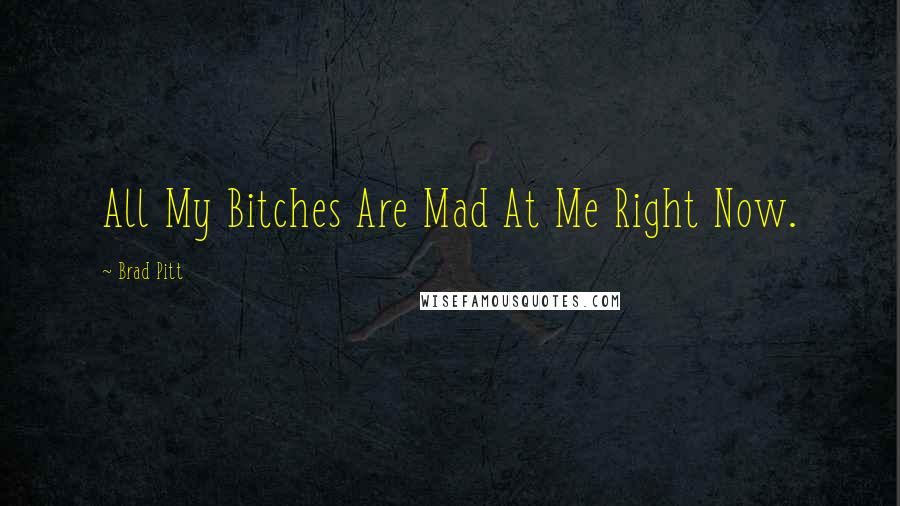 Brad Pitt Quotes: All My Bitches Are Mad At Me Right Now.