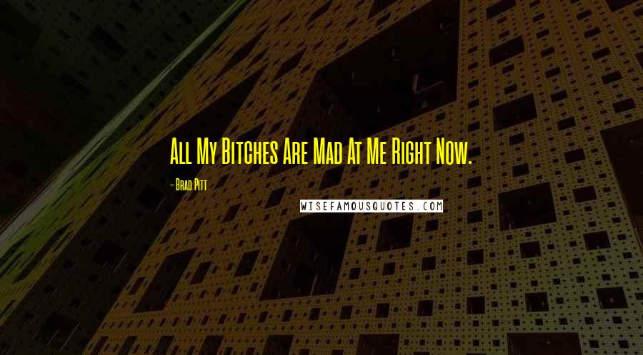 Brad Pitt Quotes: All My Bitches Are Mad At Me Right Now.