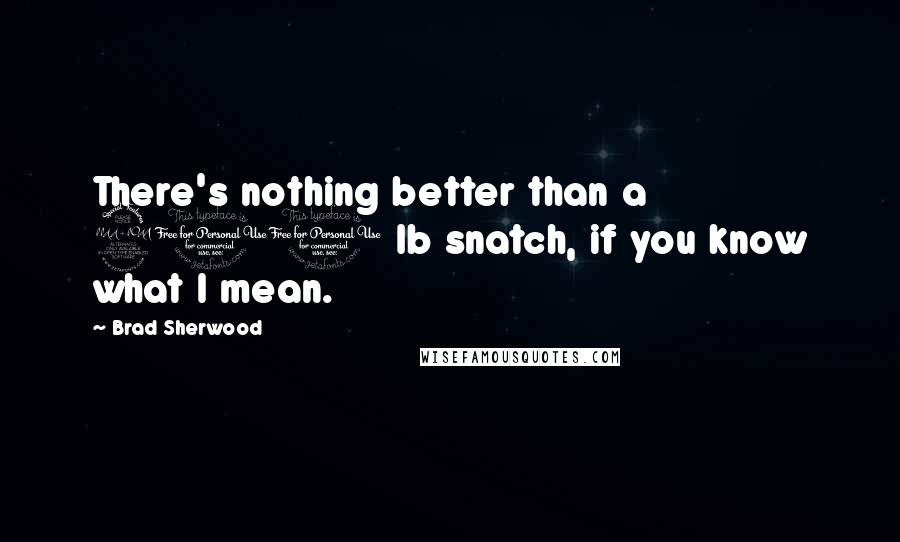 Brad Sherwood Quotes: There's nothing better than a 200 lb snatch, if you know what I mean.