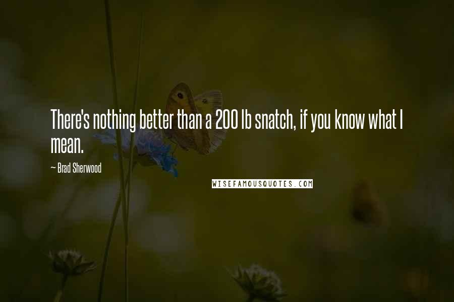 Brad Sherwood Quotes: There's nothing better than a 200 lb snatch, if you know what I mean.