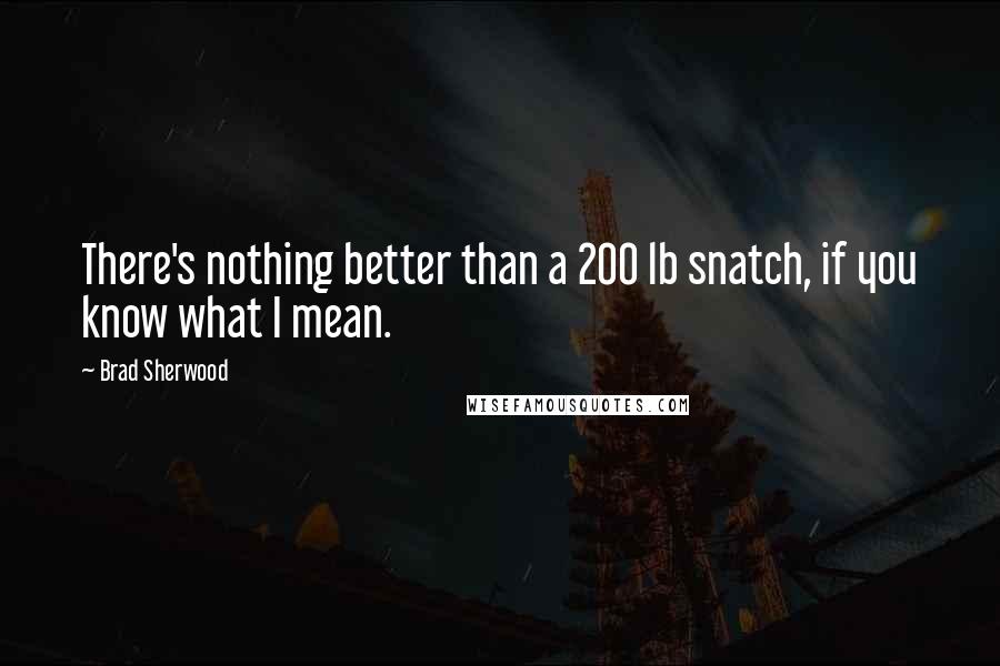 Brad Sherwood Quotes: There's nothing better than a 200 lb snatch, if you know what I mean.