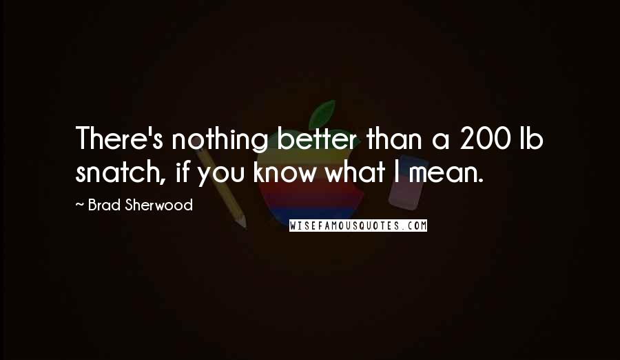 Brad Sherwood Quotes: There's nothing better than a 200 lb snatch, if you know what I mean.