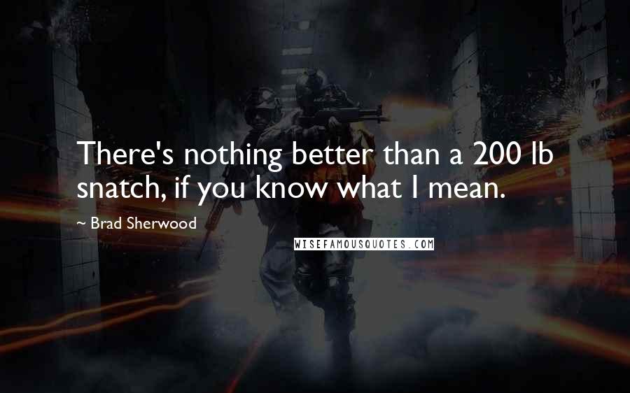 Brad Sherwood Quotes: There's nothing better than a 200 lb snatch, if you know what I mean.
