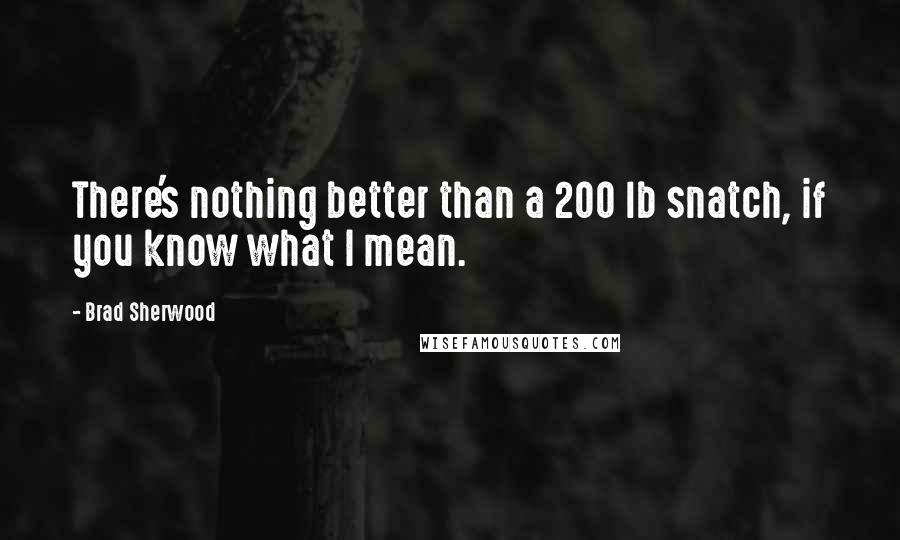 Brad Sherwood Quotes: There's nothing better than a 200 lb snatch, if you know what I mean.