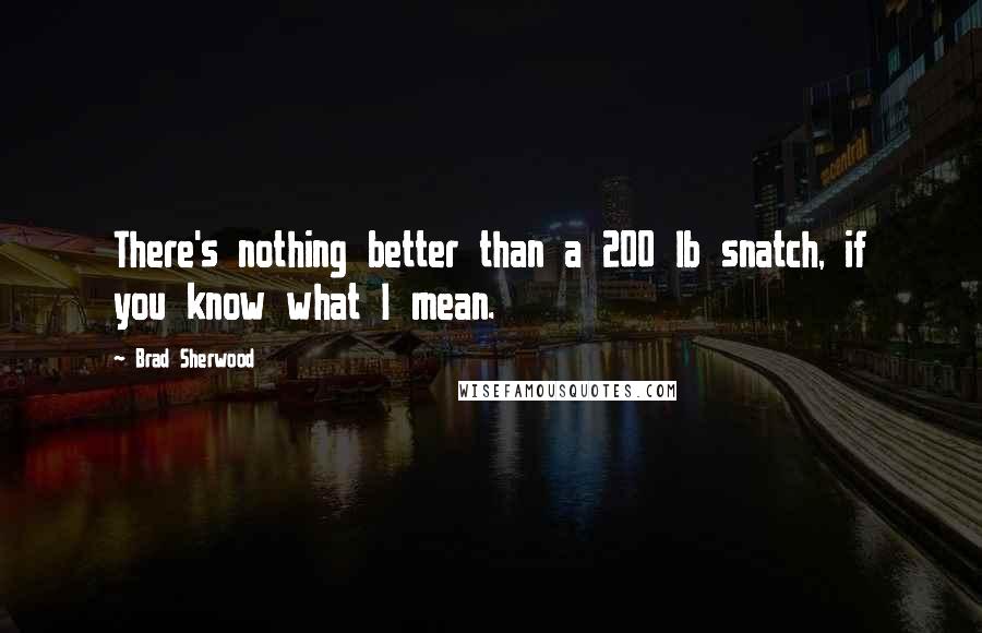 Brad Sherwood Quotes: There's nothing better than a 200 lb snatch, if you know what I mean.