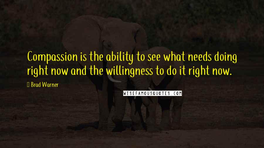 Brad Warner Quotes: Compassion is the ability to see what needs doing right now and the willingness to do it right now.