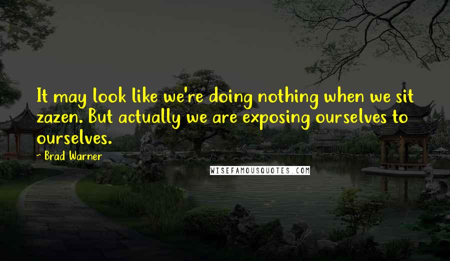 Brad Warner Quotes: It may look like we're doing nothing when we sit zazen. But actually we are exposing ourselves to ourselves.