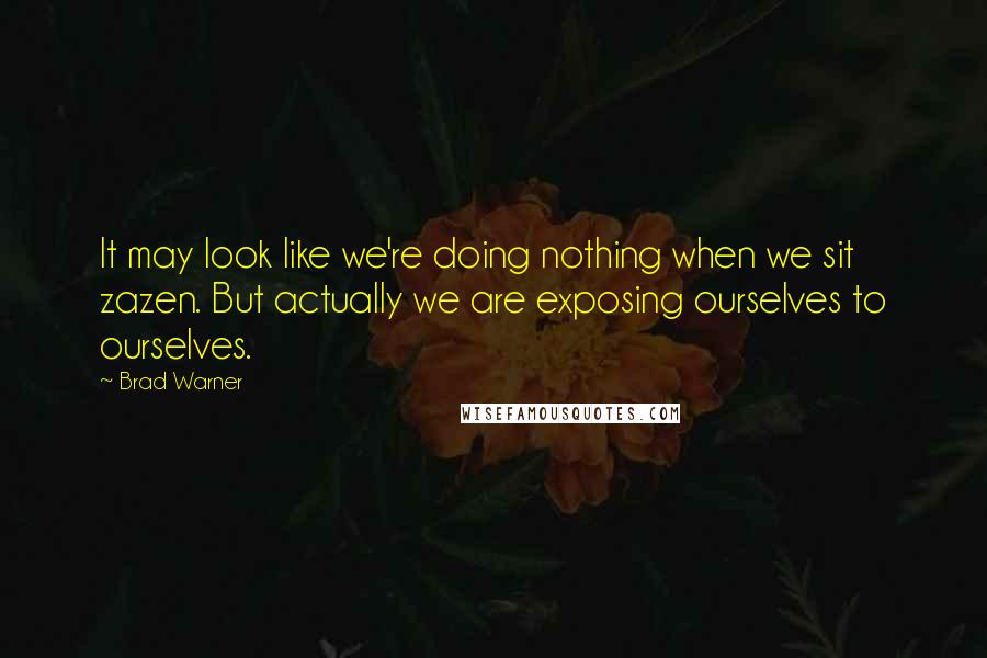 Brad Warner Quotes: It may look like we're doing nothing when we sit zazen. But actually we are exposing ourselves to ourselves.