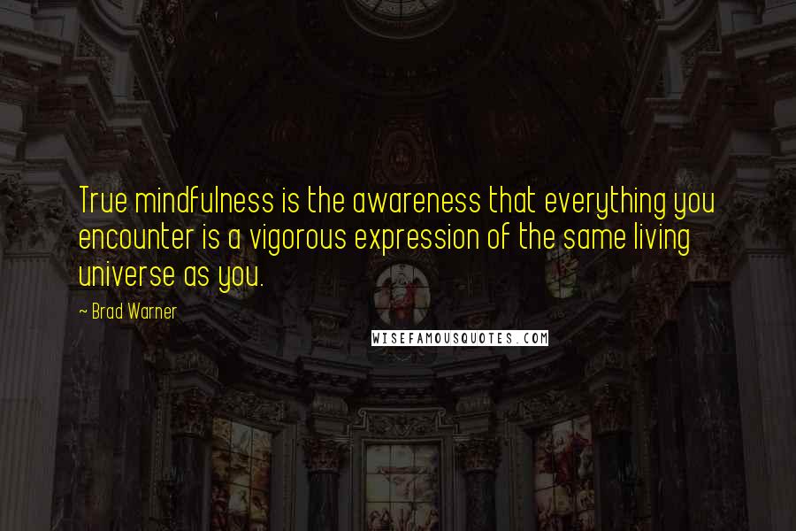 Brad Warner Quotes: True mindfulness is the awareness that everything you encounter is a vigorous expression of the same living universe as you.