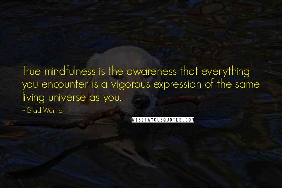 Brad Warner Quotes: True mindfulness is the awareness that everything you encounter is a vigorous expression of the same living universe as you.