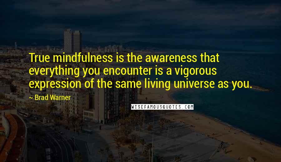 Brad Warner Quotes: True mindfulness is the awareness that everything you encounter is a vigorous expression of the same living universe as you.