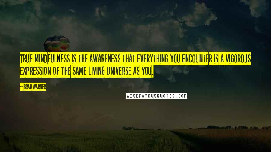 Brad Warner Quotes: True mindfulness is the awareness that everything you encounter is a vigorous expression of the same living universe as you.