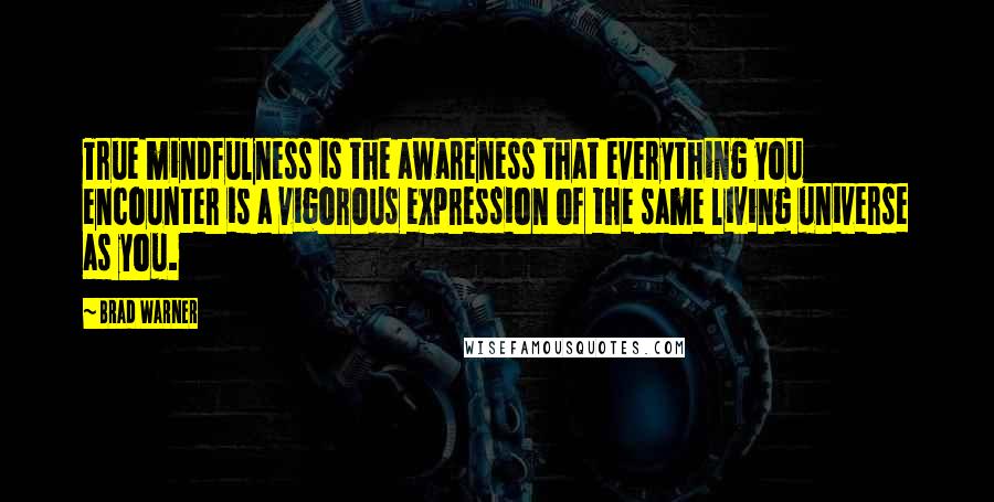 Brad Warner Quotes: True mindfulness is the awareness that everything you encounter is a vigorous expression of the same living universe as you.