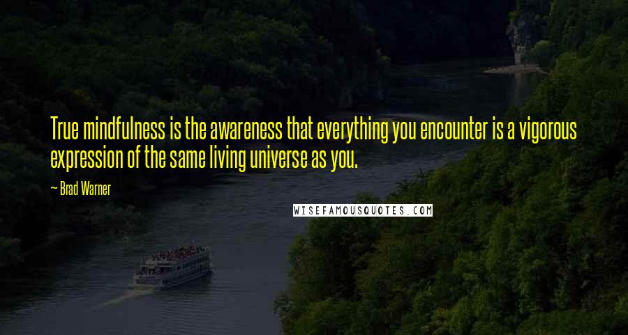 Brad Warner Quotes: True mindfulness is the awareness that everything you encounter is a vigorous expression of the same living universe as you.