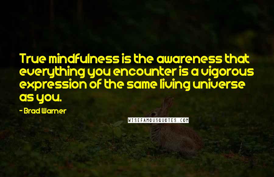 Brad Warner Quotes: True mindfulness is the awareness that everything you encounter is a vigorous expression of the same living universe as you.