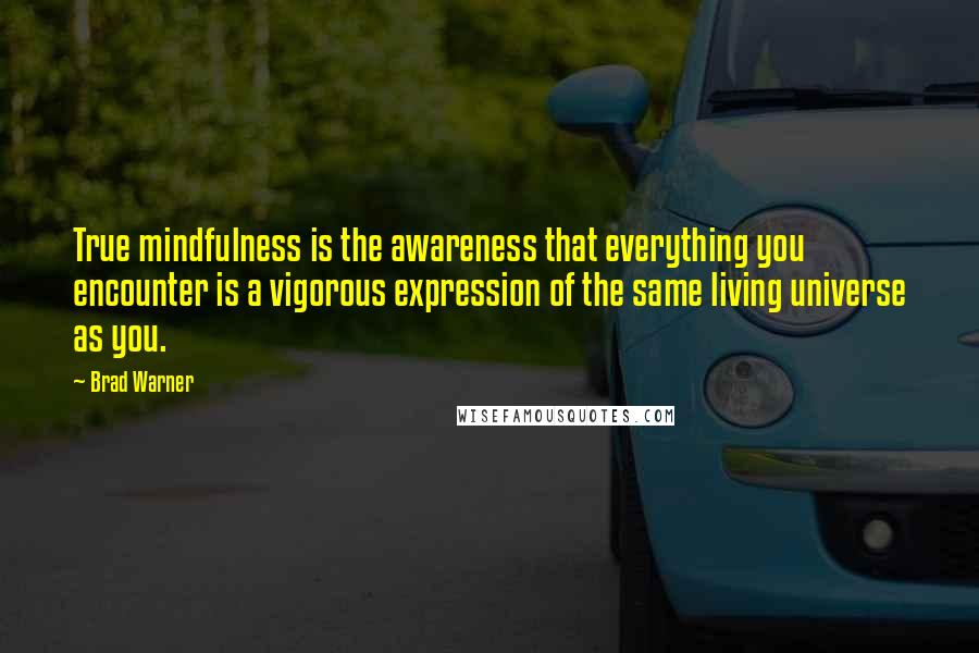 Brad Warner Quotes: True mindfulness is the awareness that everything you encounter is a vigorous expression of the same living universe as you.