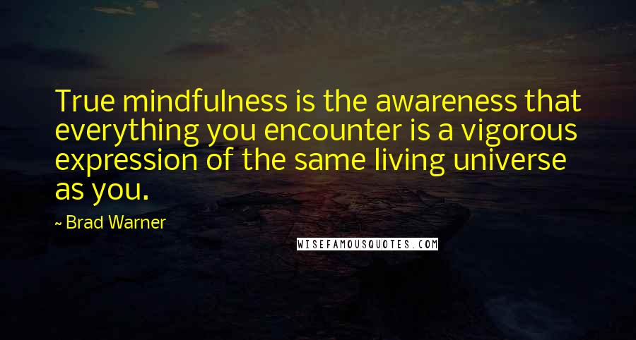 Brad Warner Quotes: True mindfulness is the awareness that everything you encounter is a vigorous expression of the same living universe as you.