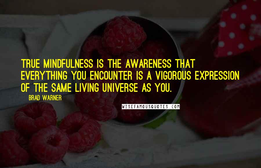 Brad Warner Quotes: True mindfulness is the awareness that everything you encounter is a vigorous expression of the same living universe as you.