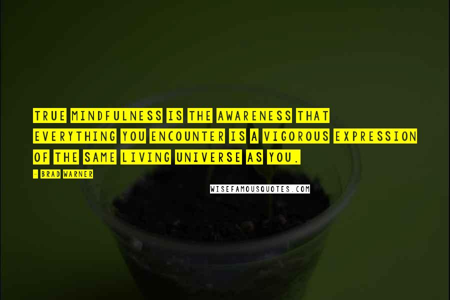 Brad Warner Quotes: True mindfulness is the awareness that everything you encounter is a vigorous expression of the same living universe as you.