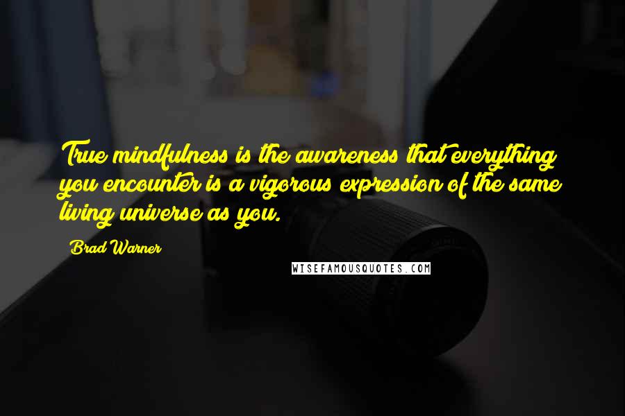 Brad Warner Quotes: True mindfulness is the awareness that everything you encounter is a vigorous expression of the same living universe as you.