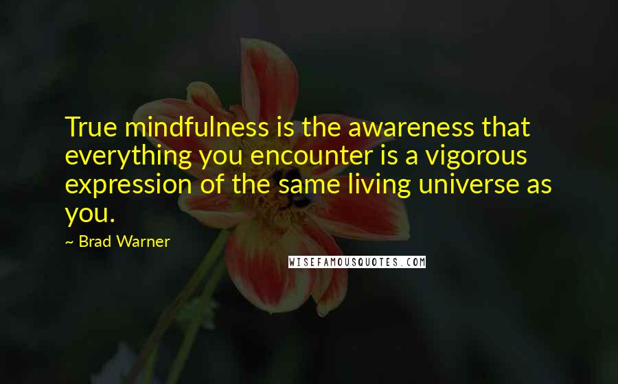 Brad Warner Quotes: True mindfulness is the awareness that everything you encounter is a vigorous expression of the same living universe as you.