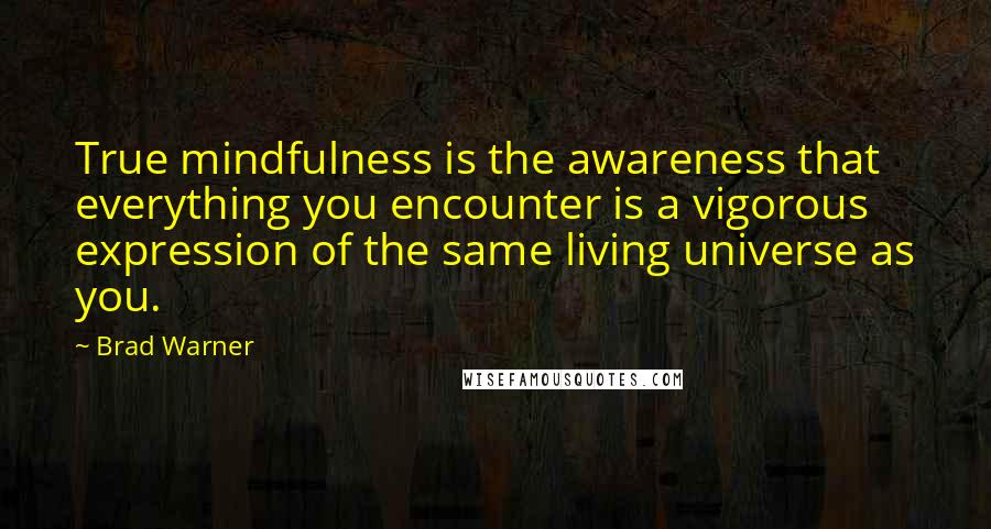 Brad Warner Quotes: True mindfulness is the awareness that everything you encounter is a vigorous expression of the same living universe as you.