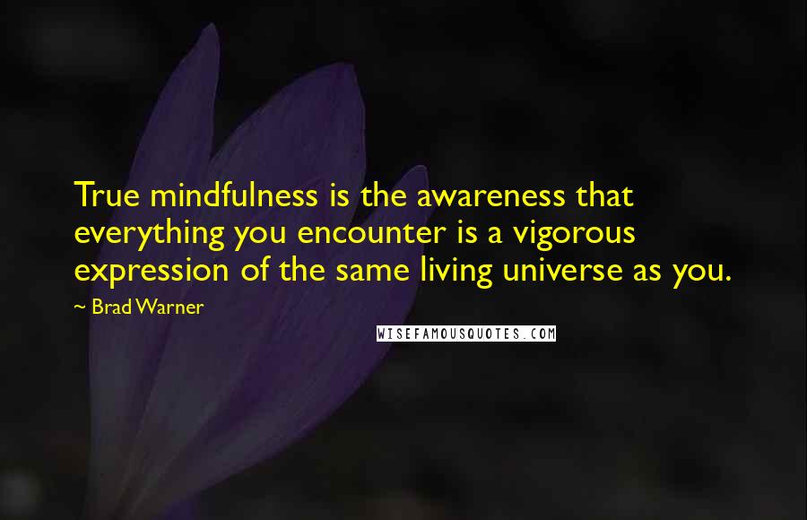 Brad Warner Quotes: True mindfulness is the awareness that everything you encounter is a vigorous expression of the same living universe as you.