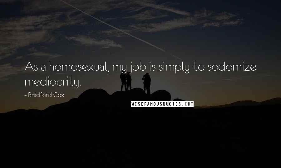 Bradford Cox Quotes: As a homosexual, my job is simply to sodomize mediocrity.