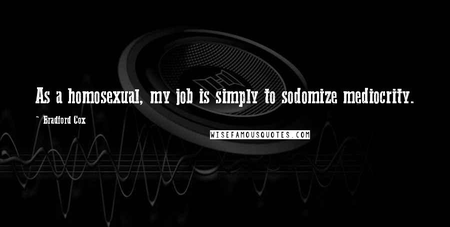 Bradford Cox Quotes: As a homosexual, my job is simply to sodomize mediocrity.