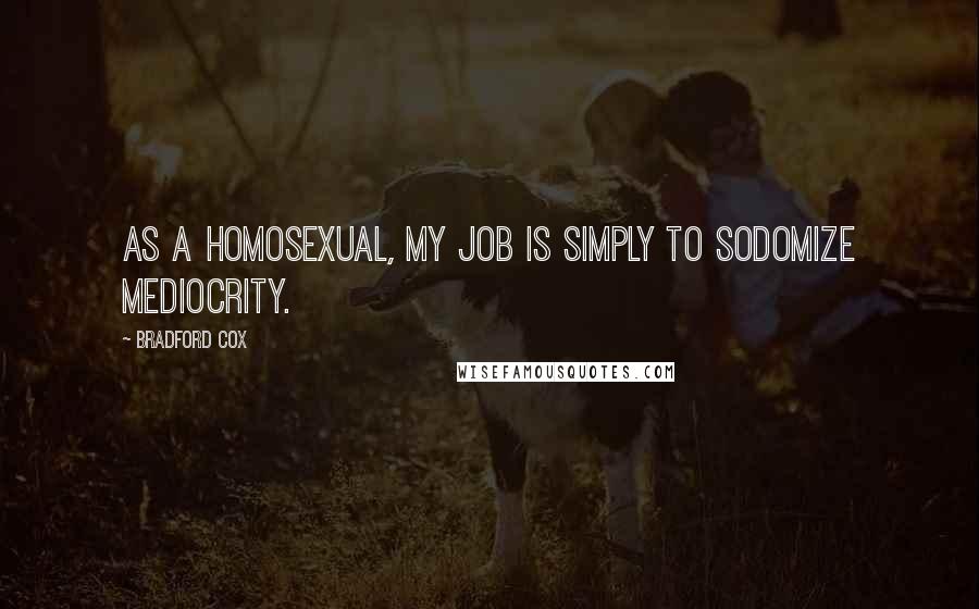 Bradford Cox Quotes: As a homosexual, my job is simply to sodomize mediocrity.