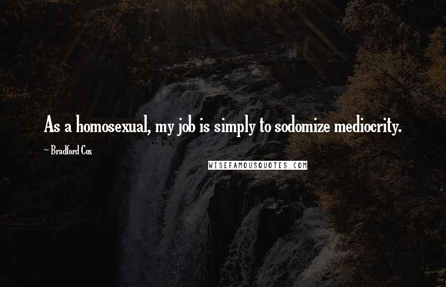 Bradford Cox Quotes: As a homosexual, my job is simply to sodomize mediocrity.