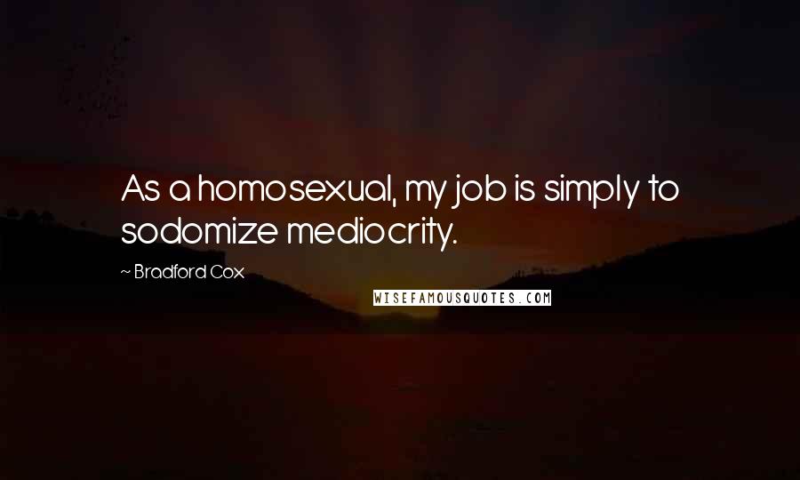 Bradford Cox Quotes: As a homosexual, my job is simply to sodomize mediocrity.