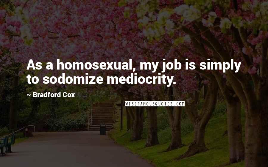 Bradford Cox Quotes: As a homosexual, my job is simply to sodomize mediocrity.