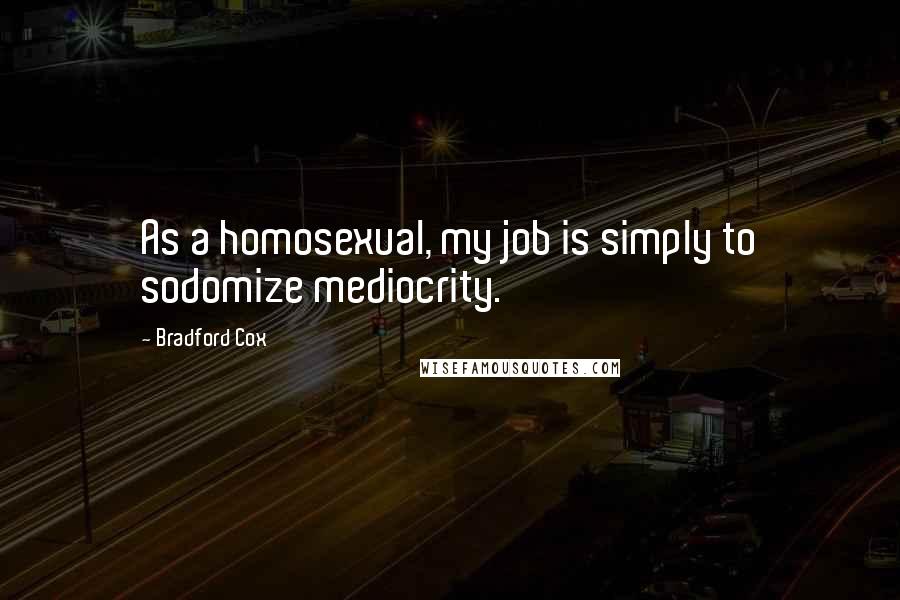 Bradford Cox Quotes: As a homosexual, my job is simply to sodomize mediocrity.