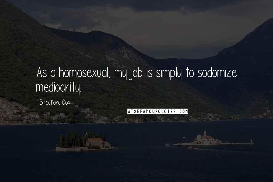 Bradford Cox Quotes: As a homosexual, my job is simply to sodomize mediocrity.