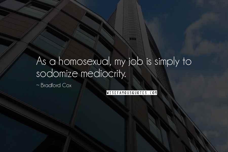 Bradford Cox Quotes: As a homosexual, my job is simply to sodomize mediocrity.