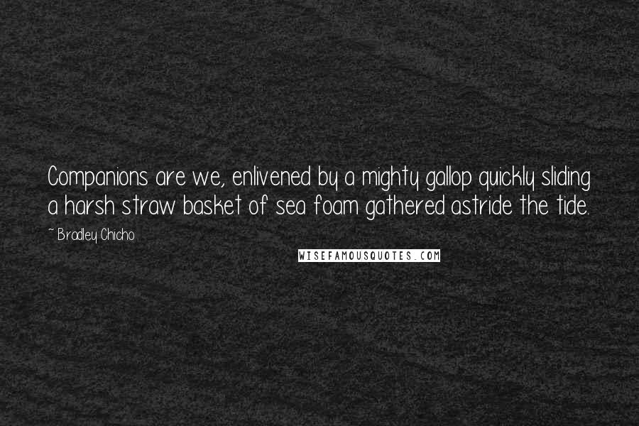 Bradley Chicho Quotes: Companions are we, enlivened by a mighty gallop quickly sliding a harsh straw basket of sea foam gathered astride the tide.