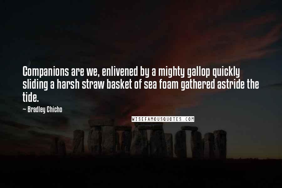 Bradley Chicho Quotes: Companions are we, enlivened by a mighty gallop quickly sliding a harsh straw basket of sea foam gathered astride the tide.