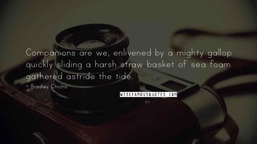 Bradley Chicho Quotes: Companions are we, enlivened by a mighty gallop quickly sliding a harsh straw basket of sea foam gathered astride the tide.