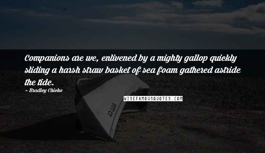 Bradley Chicho Quotes: Companions are we, enlivened by a mighty gallop quickly sliding a harsh straw basket of sea foam gathered astride the tide.