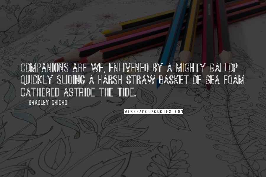 Bradley Chicho Quotes: Companions are we, enlivened by a mighty gallop quickly sliding a harsh straw basket of sea foam gathered astride the tide.