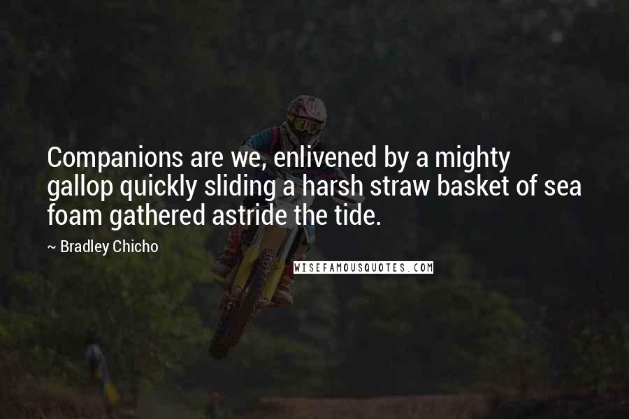 Bradley Chicho Quotes: Companions are we, enlivened by a mighty gallop quickly sliding a harsh straw basket of sea foam gathered astride the tide.