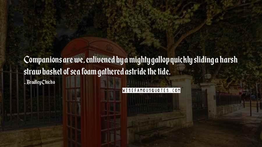 Bradley Chicho Quotes: Companions are we, enlivened by a mighty gallop quickly sliding a harsh straw basket of sea foam gathered astride the tide.