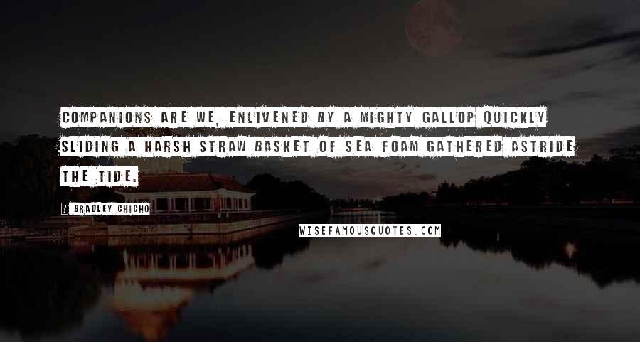 Bradley Chicho Quotes: Companions are we, enlivened by a mighty gallop quickly sliding a harsh straw basket of sea foam gathered astride the tide.
