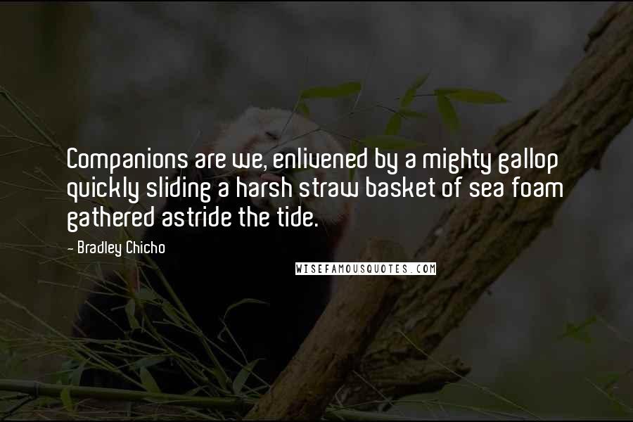 Bradley Chicho Quotes: Companions are we, enlivened by a mighty gallop quickly sliding a harsh straw basket of sea foam gathered astride the tide.