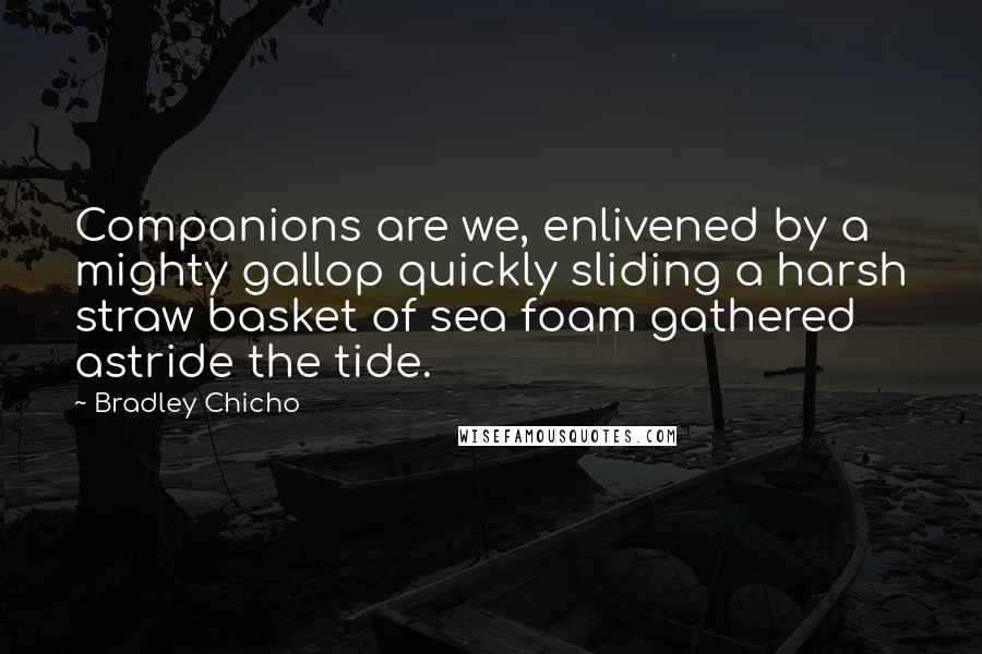 Bradley Chicho Quotes: Companions are we, enlivened by a mighty gallop quickly sliding a harsh straw basket of sea foam gathered astride the tide.