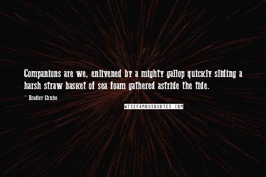 Bradley Chicho Quotes: Companions are we, enlivened by a mighty gallop quickly sliding a harsh straw basket of sea foam gathered astride the tide.